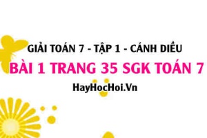 Giải bài 1 trang 35 Toán 7 Tập 1 SGK Cánh Diều